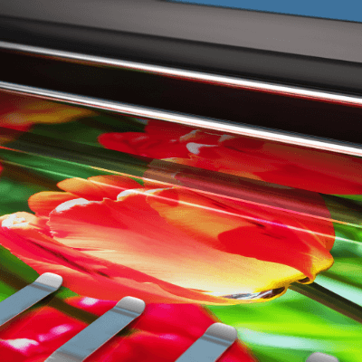 large red tulips being printed on large format printer - Brisbane's best large format printing - Call infinite print today